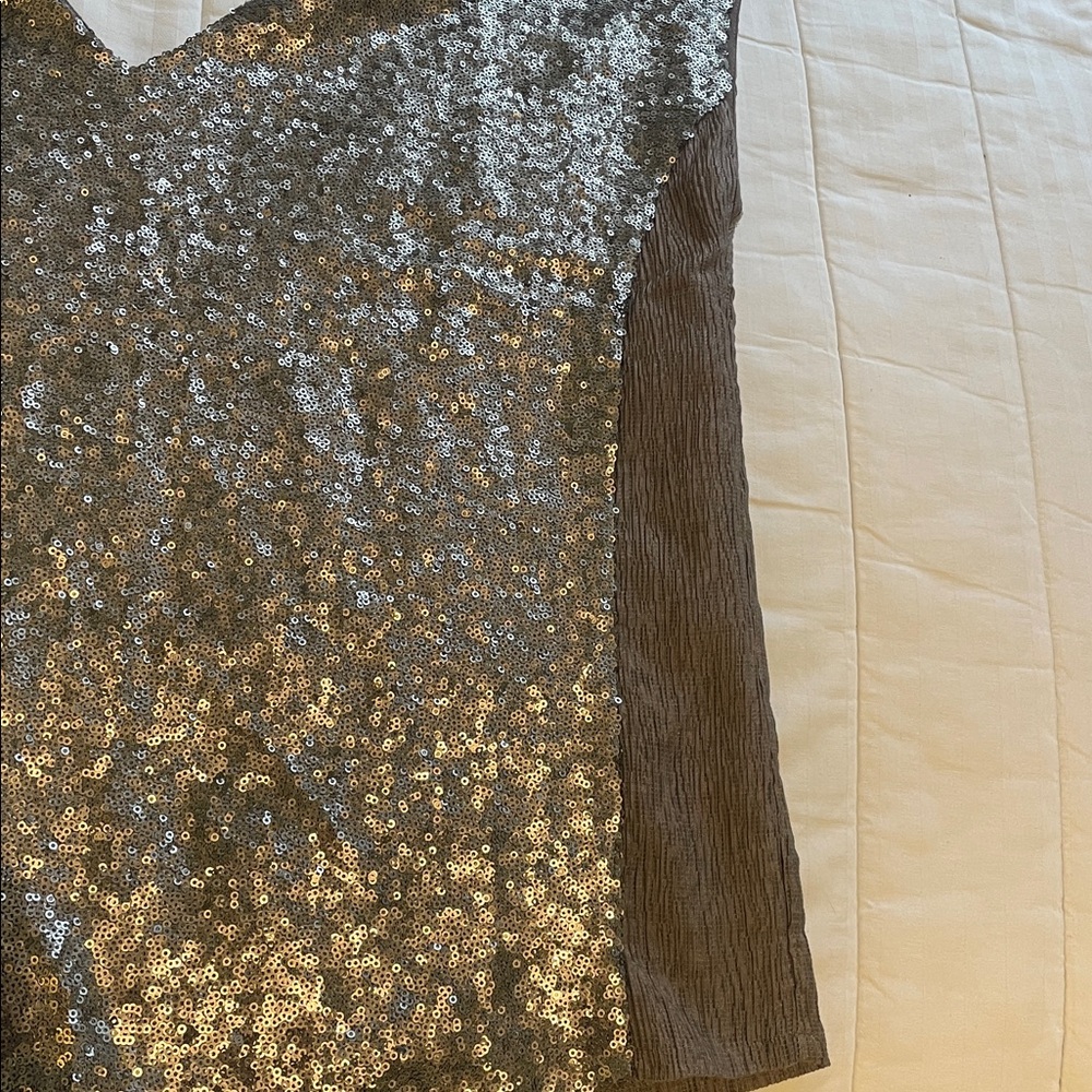 Stella & Dot Silver Sequin Blouse - Picture 2 of 4